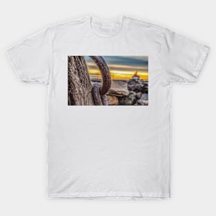 Duluth Sunrise T-Shirt